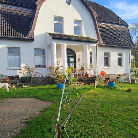 Gutshaus Im Gruenen Daire Poseritz Dış mekan fotoğraf